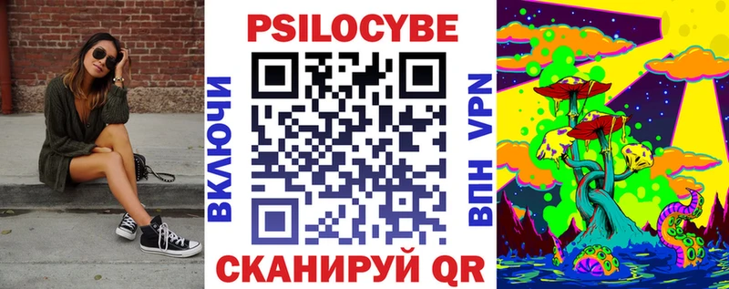 купить   Челябинск  Псилоцибиновые грибы Psilocybe 